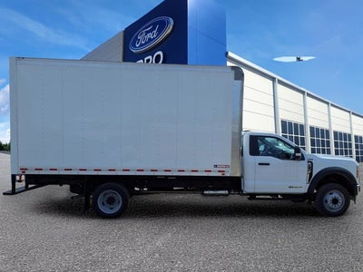 2026 Ford Super Duty F-550 DRW F-550® XL