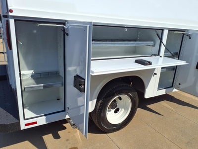 2025 Ford E-350 KUV