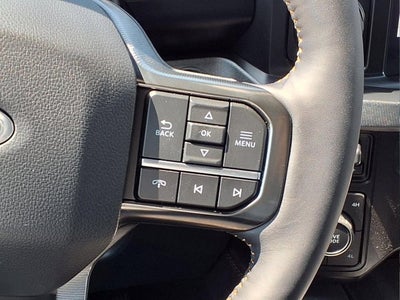 2024 Ford Super Duty F-450 DRW Platinum
