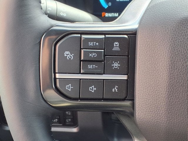 2025 Ford Super Duty F-450 DRW Platinum