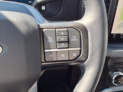 2025 Ford Super Duty F-450 DRW Platinum