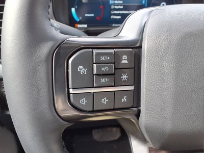 2025 Ford Super Duty F-450 DRW Platinum