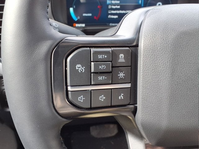 2025 Ford Super Duty F-450 DRW Platinum