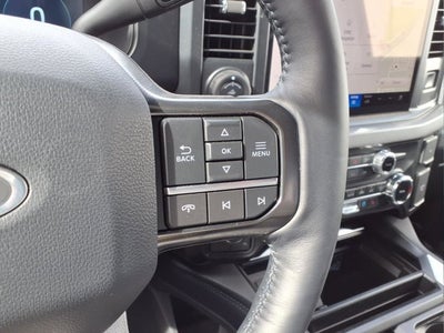 2025 Ford Super Duty F-450 DRW Platinum