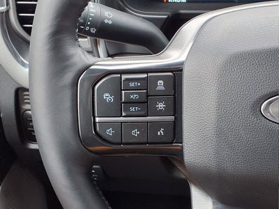 2025 Ford Super Duty F-450 DRW Platinum