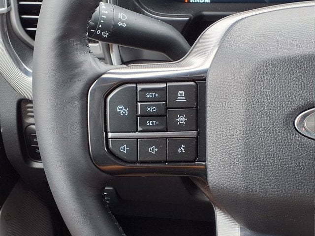 2025 Ford Super Duty F-450 DRW Platinum