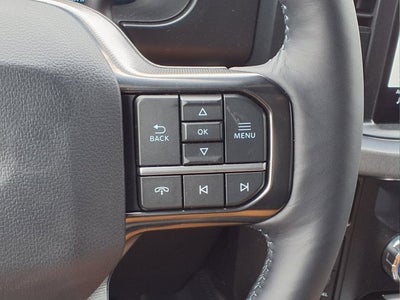 2025 Ford Super Duty F-450 DRW Platinum