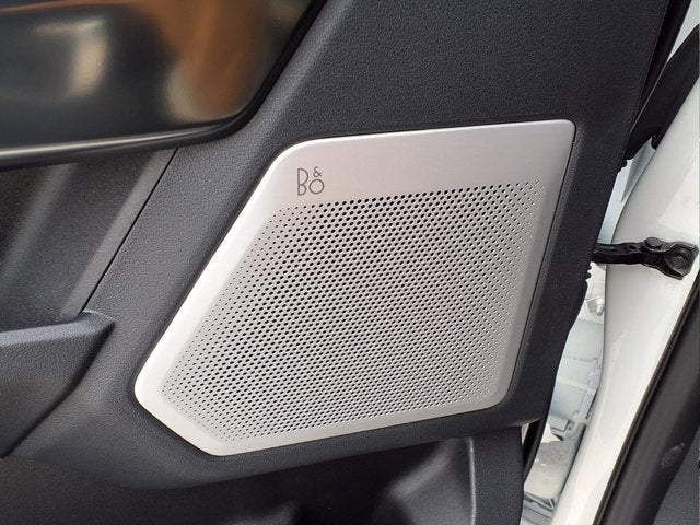 2025 Ford Super Duty F-450 DRW Platinum