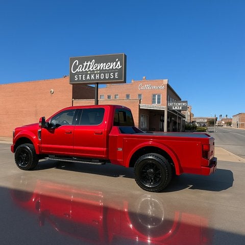 2025 Ford Super Duty F-450 DRW Platinum
