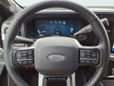 2025 Ford Super Duty F-450 DRW Platinum