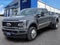 2025 Ford Super Duty F-450 DRW Platinum