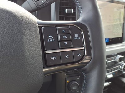 2025 Ford Super Duty F-450 DRW Platinum